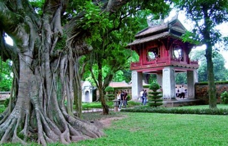Phần mềm bán vé tại Hà Nội ( Theo yêu cầu riêng)